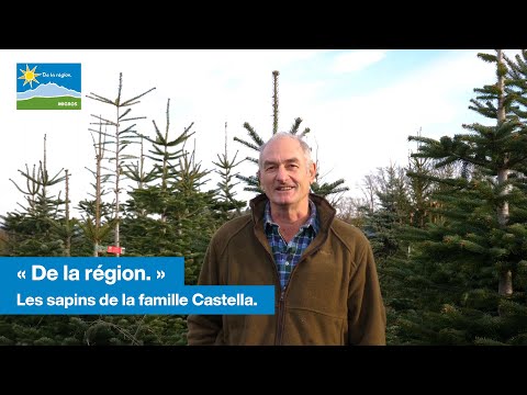 DE LA RÉGION: Les sapins de la famille Castella ?