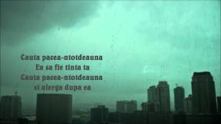 Cauta Pacea NEGATIV VIDEO HD