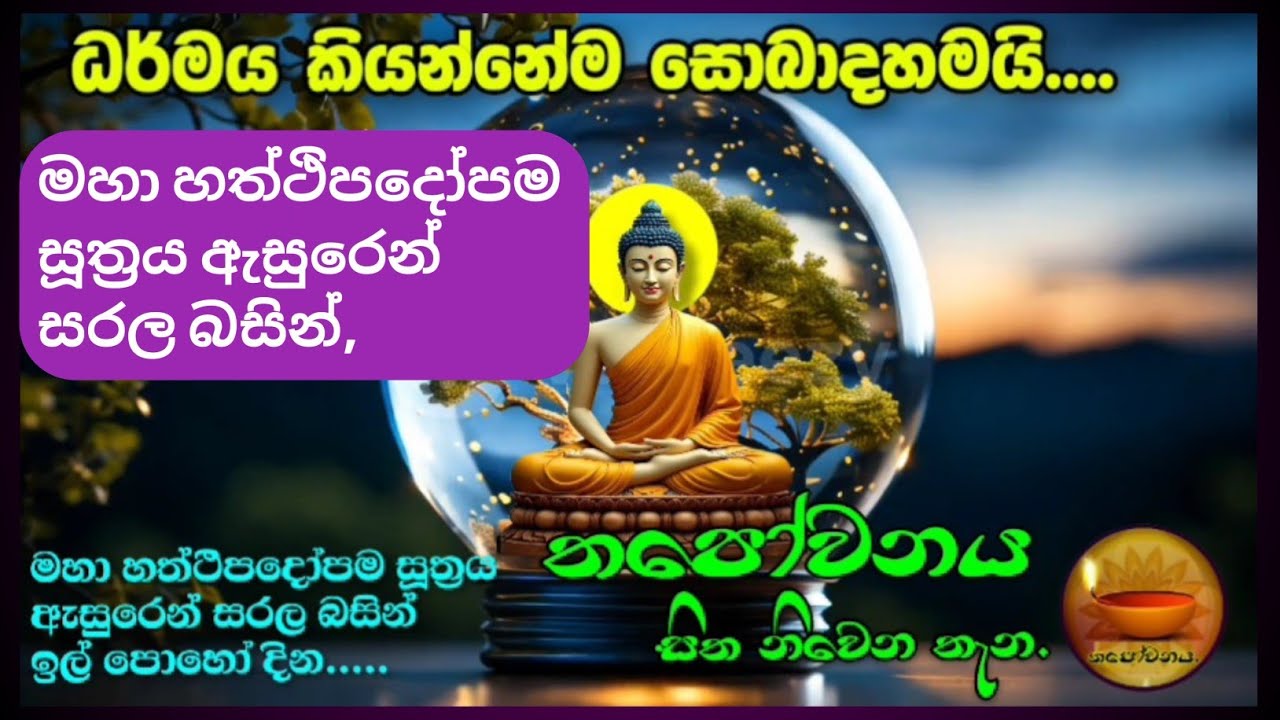 මහා හත්ථිපදෝපම සූත්‍රය ඇසුරෙන් ඉල් පොහෝ දින තපෝවනය ආරාමයේ සිට
