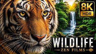 Jungle Predators Up Close 👀 Ultra HD Wildlife Experience
