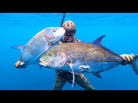 INDO TALES - EPISODE 1 Double blufin trevally and cooking octopus