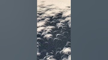 Cool Crescent Moon Shapes Solar Eclipse Shadows on the Ground Through the Trees, Branches & Leaves