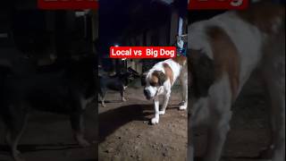 Big dog vs local dog #dogshorts #dogvideos #dogtv #superdog #citydog #vlog #viralvideo #dogsworld