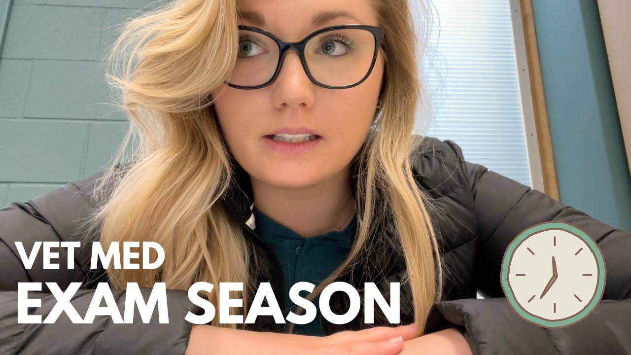 VET SCHOOL VLOG my first exam season of vet school YouTube