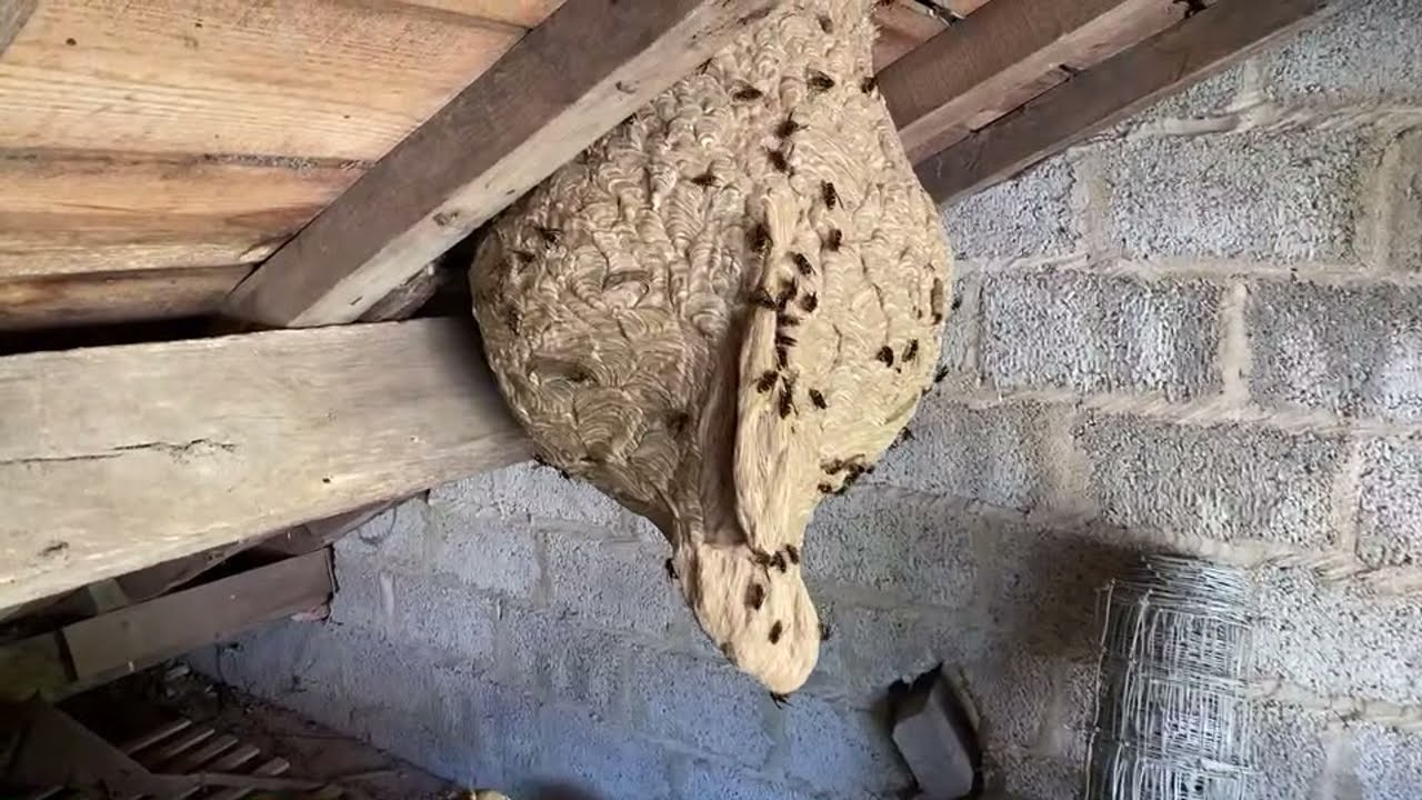 La je vais prendre cher