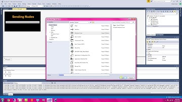 How To Use A Progress Bar in Visual Studio 2017