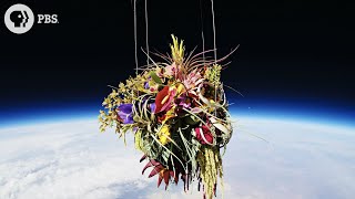 Art We Launched Into Space