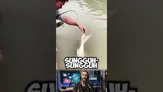 Joran kecil tangkapan besar #mancing #fishing