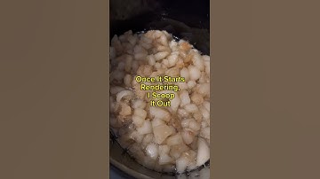 How To Render Lard #kune #fat #pigfat #pigfacts #kunekune #lard