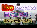 銭洲【Live】続き 2025/12/21 伊豆とび島丸