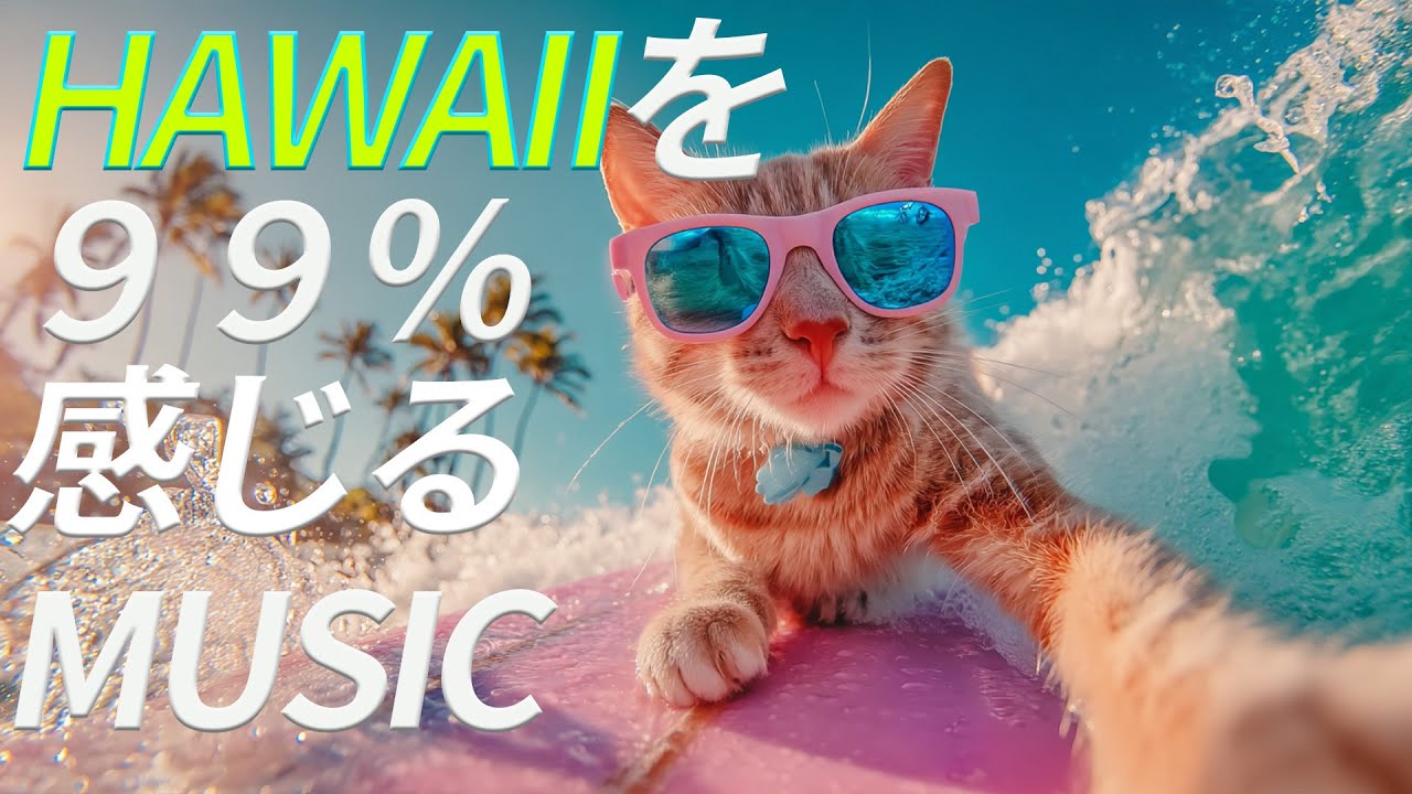 【🌞Hawaiian Morning Music】Surf Cat Sunrise Glow｜99% Hawaii Gentle Breeze｜作業・リラックスBGM