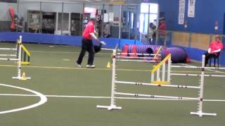 Alan Jake Std Kk Apr 2012 2