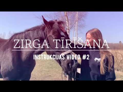 Video: Kā Noteikt Zirga Vecumu
