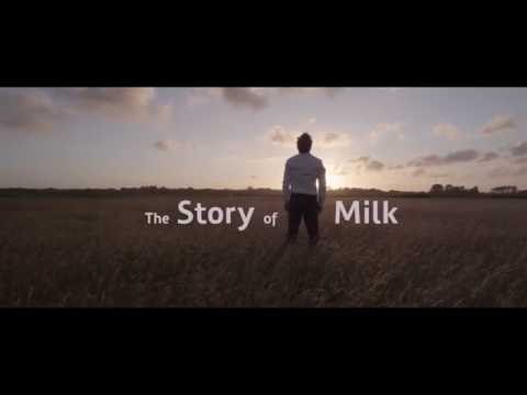 Story Of FrieslandCampina Milk