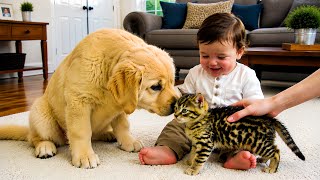 Cute Baby Watches Golden Retriever Puppy And Kitten Funny Reaction