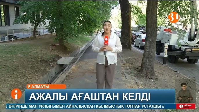 Чуркалардың секс видеолары