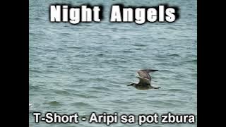 T-Short - Aripi sa pot zbura.mp4