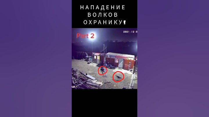 Нападение волк охотники #wolf #волка #охота #max #казахстан #hunting #каскыр