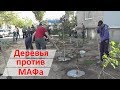 Активисты высадили рощу на месте незаконного МАФа