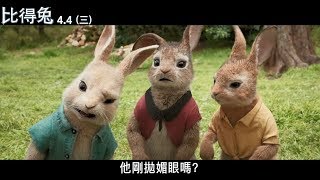 【比得兔】兔兔軍團 集合！