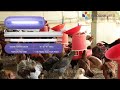 Sai lầm lớn nhất mà trại chăn nuôi đang mắc phải