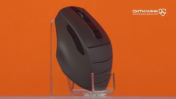 Обзор мыши A4TECH Fstyler FG30S | Ситилинк