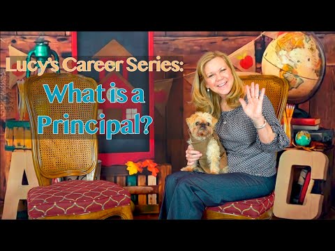 Lucy's Career Series: