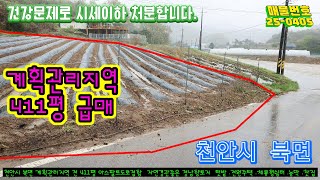 「천안 북면 」땅주인 건강상의 이유로 좋은 땅  시세이하로  저렴하게 팝니다