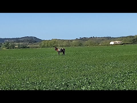 Ballade au fil de l'eau (12/4/24)