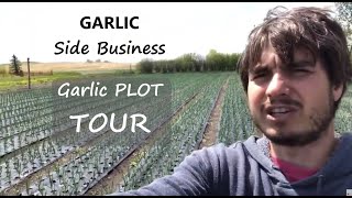 $30,000 Garlic Growing Side Business  Plot Tour