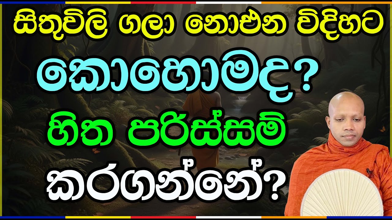සිතිවිලි ගලා නොයන විදිහට කොහොමද හිත පරිස්සම් කරගන්නේ | Hasalaka Seelawimala Thero 145