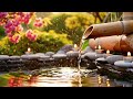 Beautiful Relaxing Music 🌿 Bamboo Water Sounds, Deep Sleep Music, Calm Anxiety &amp; Depression, Spa BGM