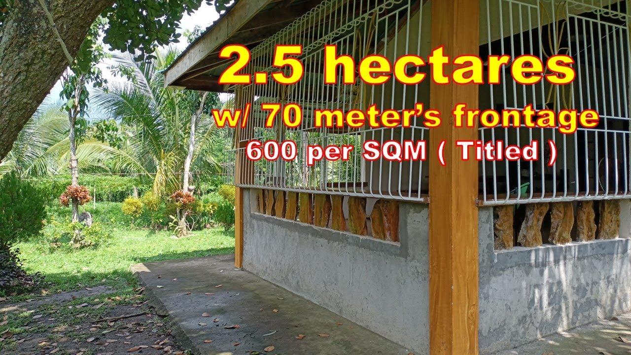 FARM LOT FOR SALE (PROP 152) 2.5 HECTARES, SAN PABLO CITY, LAGUNA