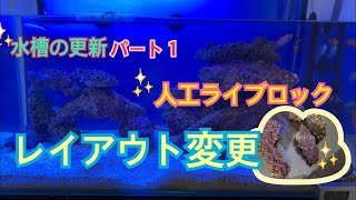 水槽更新パート①人工ライブロックのレイアウト変更