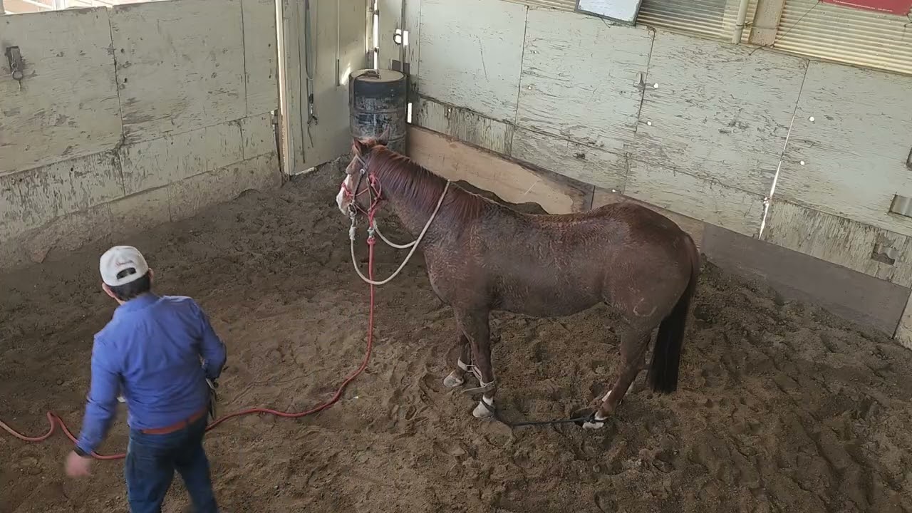 Con el cabrestante en el suelo y que no se mueva.