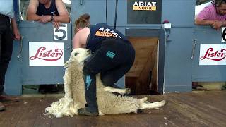 Cneifio Dosbarth Menywod - Rownd Derfynol | Women's Shearing - Final
