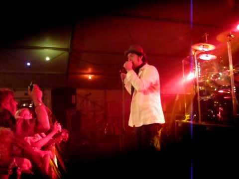 The Cats- Lonely Walk
