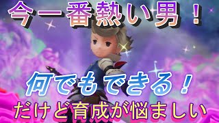 ブレイブリーデフォルトブリリアントライツ】なんでもできる！今一番
