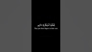 #سورة_البقرة #مسلم #قران_كريم #تلاوة #فلسطين #quran#allah#short#muslim#islamicquotes#islamicposts