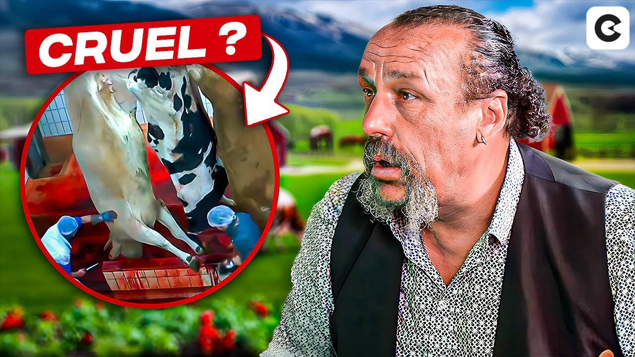 On doit arrêter de manger de la viande ? Ce paysan répond. - YouTube