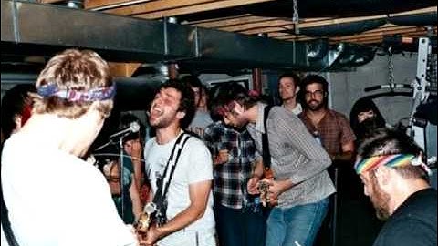 Parrot Flies by Algernon Cadwallader (NEW!)