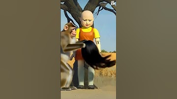 Squid Game | A Monkey Steals Hee