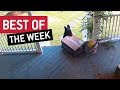 BEST OF THE WEEK - Porch Pirate | This is Happening