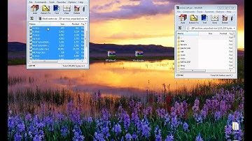How to install Better Than Wolves Mod And Mod Loader