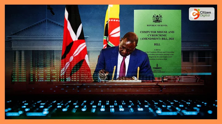 Court suspends controversial cybercrimes law amid growing public outcry