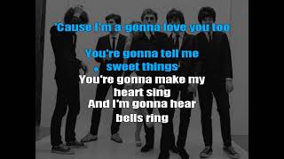 Blondie Im Gonna Love You Too Karaoke