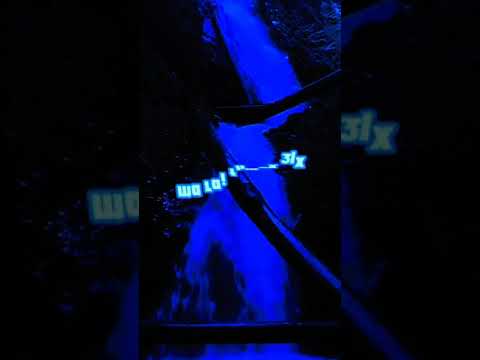 Shayfeen Maghandemch Statu 2021 Smallx Shayfeen Maghandemch