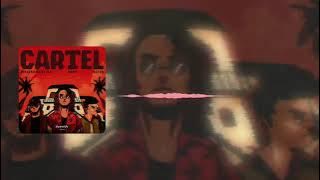 DJ SPECIAL 2024‼️CARTEL - Fahmy Fay ( Bottleg )