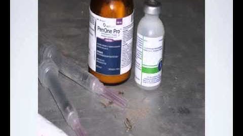 Subcutaneous Injections for Goats and Sheep