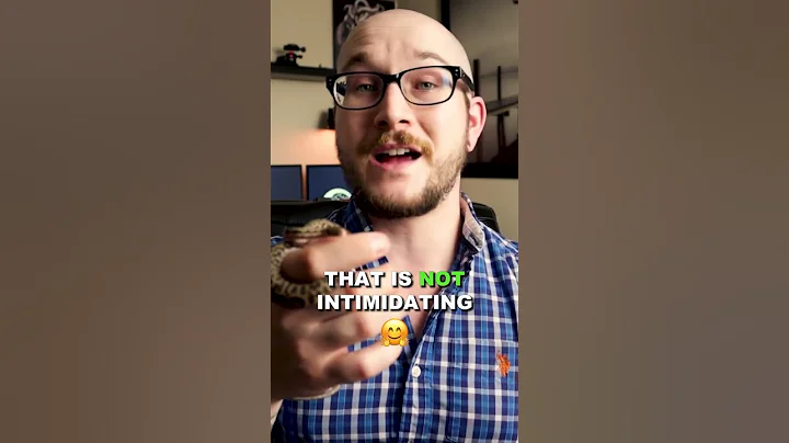 Smallest Pet Python You Can Own #snakes #python #reptiles